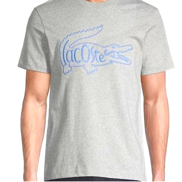 Lacoste Other - Lacoste embroidered 🐊